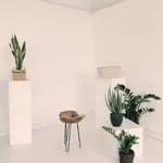 海星体育muan