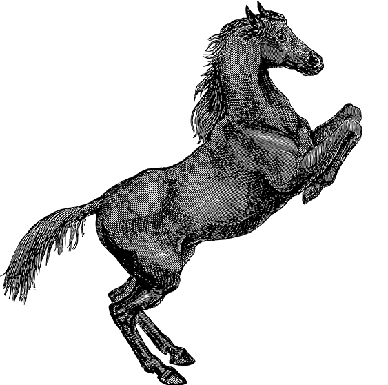 海星体育muan